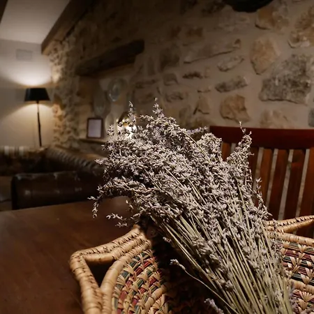Ca Margalef - Casa Rural Con Encanto Ginestar Exterior photo