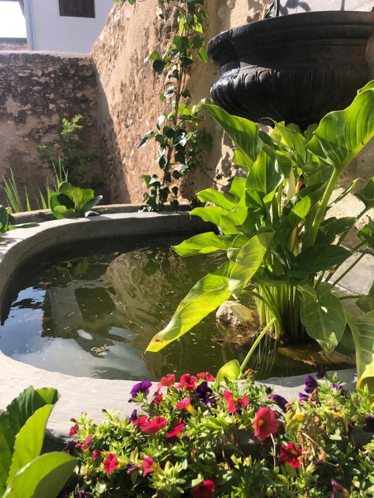 Ca Margalef - Con Encanto Apartment